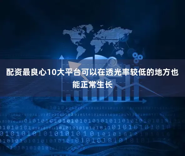 配资最良心10大平台可以在透光率较低的地方也能正常生长
