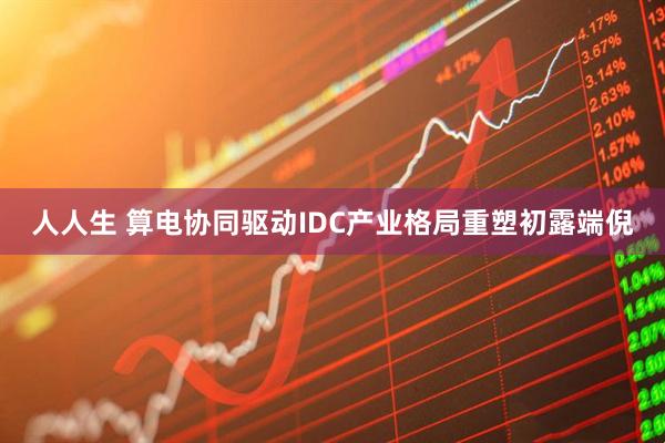 人人生 算电协同驱动IDC产业格局重塑初露端倪